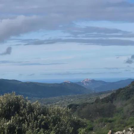 Casakia *