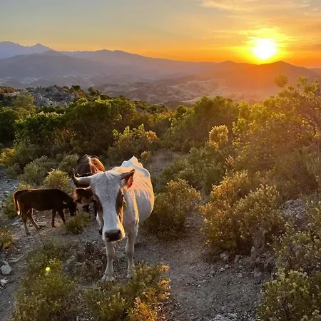 Сasa de vacaciones Casakia Pietralba