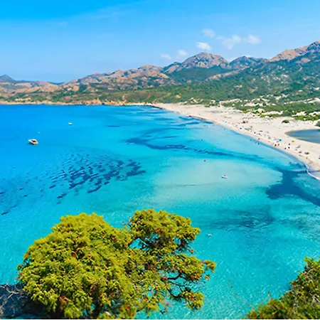 Casakia *