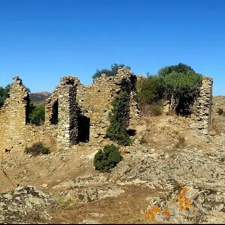 Casakia *
