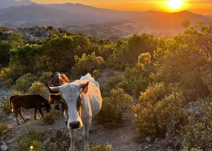 Tatil Evi Casakia Pietralba
